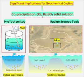 Co-precipitation of radium in high–salinity environments: Implications from laboratory experiments and field surveys