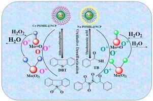 Polyoxometalates ionic liquids based magnetic nanocomposites as an efficient heterogeneous catalysts for oxidation of thiobenzoic acid and dibenzothiophene by employing RP-HPLC-UV