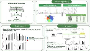 Comprehensive evaluation of Capsosiphon fulvescens water extract: Assessing its effects on intestinal barrier integrity and inflammation in vitro and in vivo