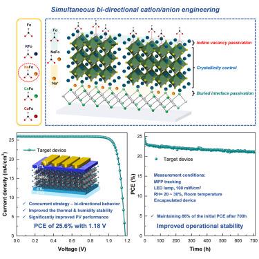 Designed bi-directional cation/anion interfacial distribution of perovskite solar cells