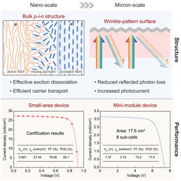 Achieving 20.8% organic solar cells via additive-assisted layer-by-layer fabrication with bulk p-i-n structure and improved optical management