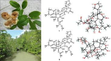 Ten limonoids and three protolimonoids from the Thai mangrove Xylocarpus moluccensis