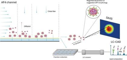 Lipid nanoparticle properties explored using online asymmetric flow field-flow fractionation coupled with small angle X-ray scattering: Beyond average characterisation