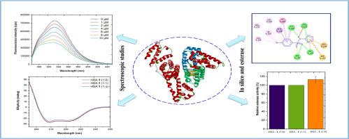 Biophysical insight into the interaction mechanism of 4-bromo-N-(thiazol-2-yl)benzenesulfonamide and human serum albumin using multi-spectroscopic and computational studies