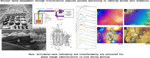 In-line detection of salt formation during vitrification using millimeter wave radiometry and interferometry