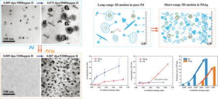 Alloying element Ag modifies the behavior of H and defects in Pd alloys