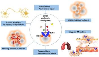 Recent progress on small molecule TLR4 antagonist against triple-negative breast cancer progression and complications