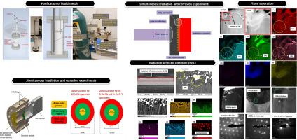 Behavior of Fe-based alloys in a liquid lead-bismuth environment under simultaneous proton irradiation and corrosion