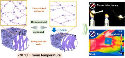 Flame-retardant and thermal insulating biomass aerogel with super-elasticity