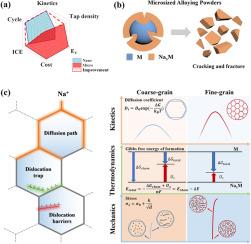 Stress delocalization by grain boundaries densified in microsized alloying particles for advanced sodium storage