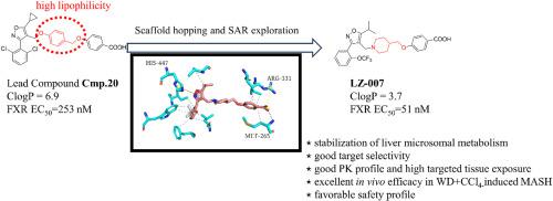 Design, synthesis, and biological evaluation of novel highly potent FXR agonists bearing piperidine scaffold