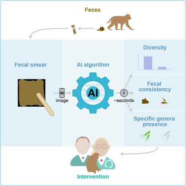 A rapid, affordable, and reliable method for profiling microbiome biomarkers from fecal images