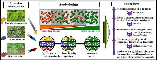 Impact of invasive alien tree species on symbiotic soil fungal communities in pine-dominated forest ecosystems in central Europe