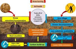 Trade-off of greenhouse gas emissions from double-cropped rice due to straw retention and zero tillage practices