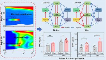 Response of dissolved organic matter and disinfection by-product precursors to algal blooms and thermal stratification in deep reservoirs