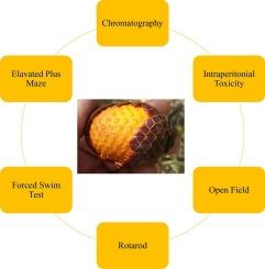 Phytochemical characterization, toxicity and pharmacological profile of the central effects of the fixed fruit pulp oil of Mauritia flexuosa L.F. (buriti)