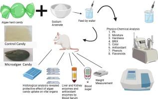 Spirulina and chlorella derived hard candies as functional food