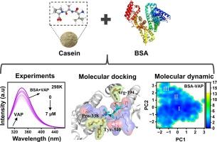 Insight into the interaction of serum albumin with antihypertensive peptide Val-Ala-Pro from bovine casein hydrolysate based on the biolayer interferometry, multi-spectroscopic analysis and computational evaluation