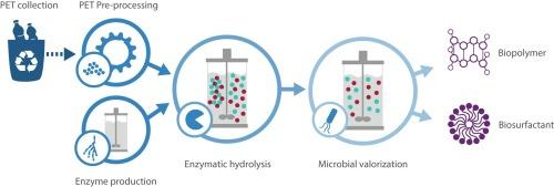 Two-step biocatalytic conversion of post-consumer polyethylene terephthalate into value-added products facilitated by genetic and bioprocess engineering