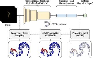 Consensus-based iterative meta-pseudo-labeling for deep semi-supervised learning