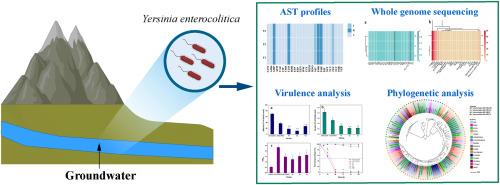 Emergence of polymyxin-resistant Yersinia enterocolitica strains in natural aquatic environments