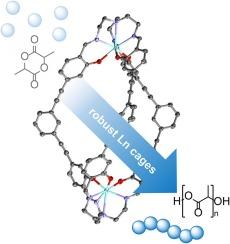 Robust Y and Lu TrenSal catalysts for ring-opening polymerisation