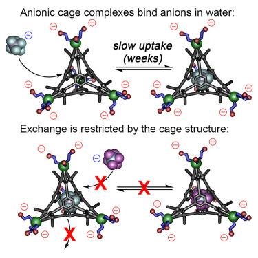 Selective aqueous anion recognition in an anionic host