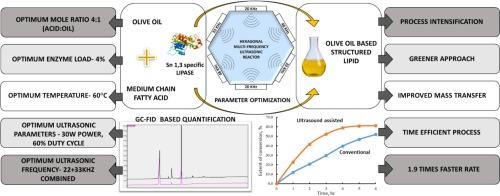 Intensified synthesis of olive oil-based structured lipids based on enzymatic acidolysis using multi-frequency ultrasound