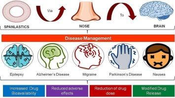 A narrative review on potential applications of spanlastics for nose-to-brain delivery of therapeutically active agents