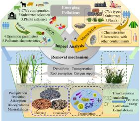 Constructed wetlands for emerging pollutants removal: A decade of advances and future directions (2014–2024)