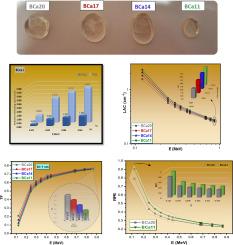 Development of and study of boro-tellurite glasses for optical and radiation shielding applications