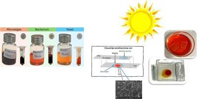 The influence of microbial sources on astaxanthin implementation as sensitizer in dye sensitized solar cells (DSSCs)