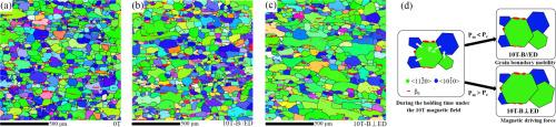 Strengthening the {0001} basal texture of α phases for extruded TNM alloy by high magnetic field heat treatment at 1290 ℃