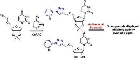 Design, Synthesis, Characterization and antibacterial activity of new 1,2,3-triazole linked nucleosides