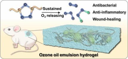 Self-healing adhesive hydrogels for sustained ozone release: Enhanced antibacterial properties and improved wound healing