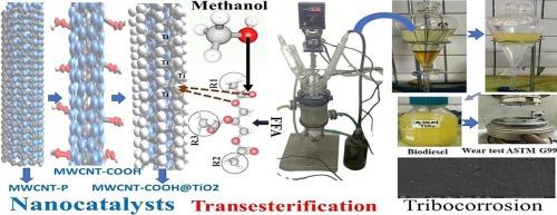 Enhancing biodiesel production and tribocorrosion resistance with MWCNT–COOH @TiO2 nanocatalysts