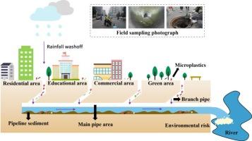 Microplastics distribution, transport and potential risks in sediments across different functional areas of megacities: From storm sewer networks to urban river