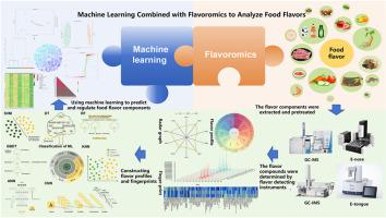 Machine learning and flavoromics-based research strategies for determining the characteristic flavor of food: A review