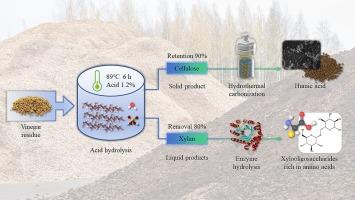 Unlocking the potential of vinegar residue: A novel biorefining strategy for amino acid-enriched xylooligosaccharides and humic-like acid