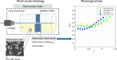 A rheological law to describe powder agitation in a lab-scale paddle mixer: Shear band observation and dimensional analysis