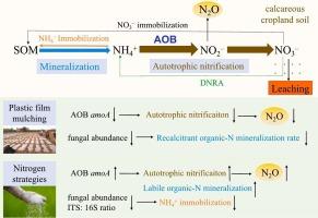 Long-term effects of film mulching and fertilization regimes on gross N transformations in calcareous dryland soils