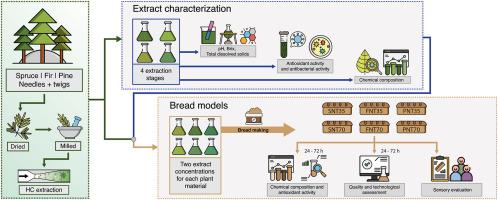 Spruce, pine and fir needles as sustainable ingredients for whole wheat bread fortification: Enhancing nutritional and functional properties