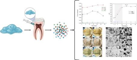 In vitro evaluation of a new endodontic cement based on calcium and strontium aluminate