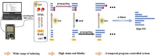 Control of molecular weight distribution through photoresponsive RAFT polymerization with a temporal program-controlled system