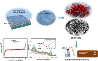 High-performance electrochemical detection for trace minocycline based on boron-doped-diamond/carbon nanowalls biosensor