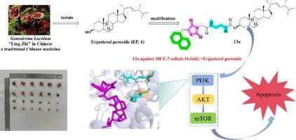 Thiazolidinedione-based structure modification of ergosterol peroxide provides thiazolidinedione-conjugated derivatives as potent agents against breast cancer cells through a PI3K/AKT/mTOR pathway