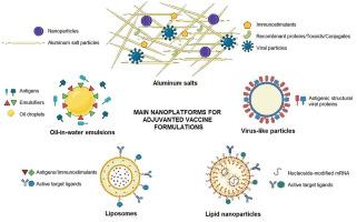 Nanotechnology platforms for antigen and immunostimulant delivery in vaccine formulations