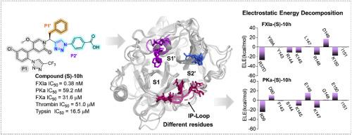 Discovery of potent and selective factor XIa inhibitors incorporating triazole-based benzoic acid as novel P2’ fragments: Molecular dynamics simulations and anticoagulant activity