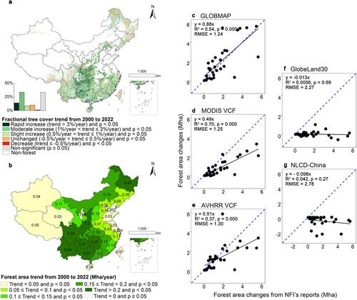 Forest Areas in China Are Recovering Since the 21st Century