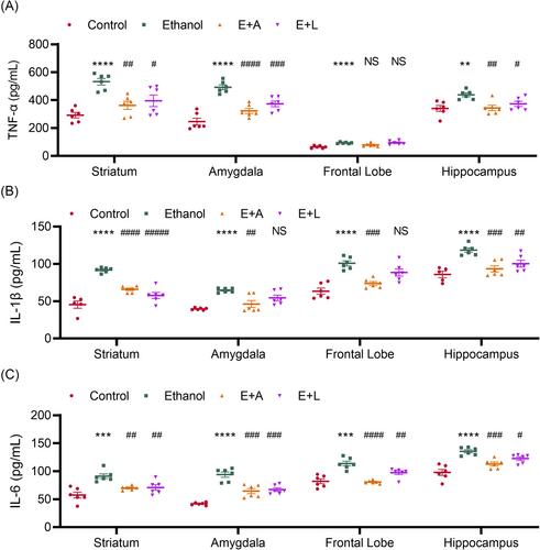 Lactobacillus rhamnosus GG attenuates depression-like behaviour and cognitive deficits in chronic ethanol exposure mice by down-regulating systemic inflammatory factors